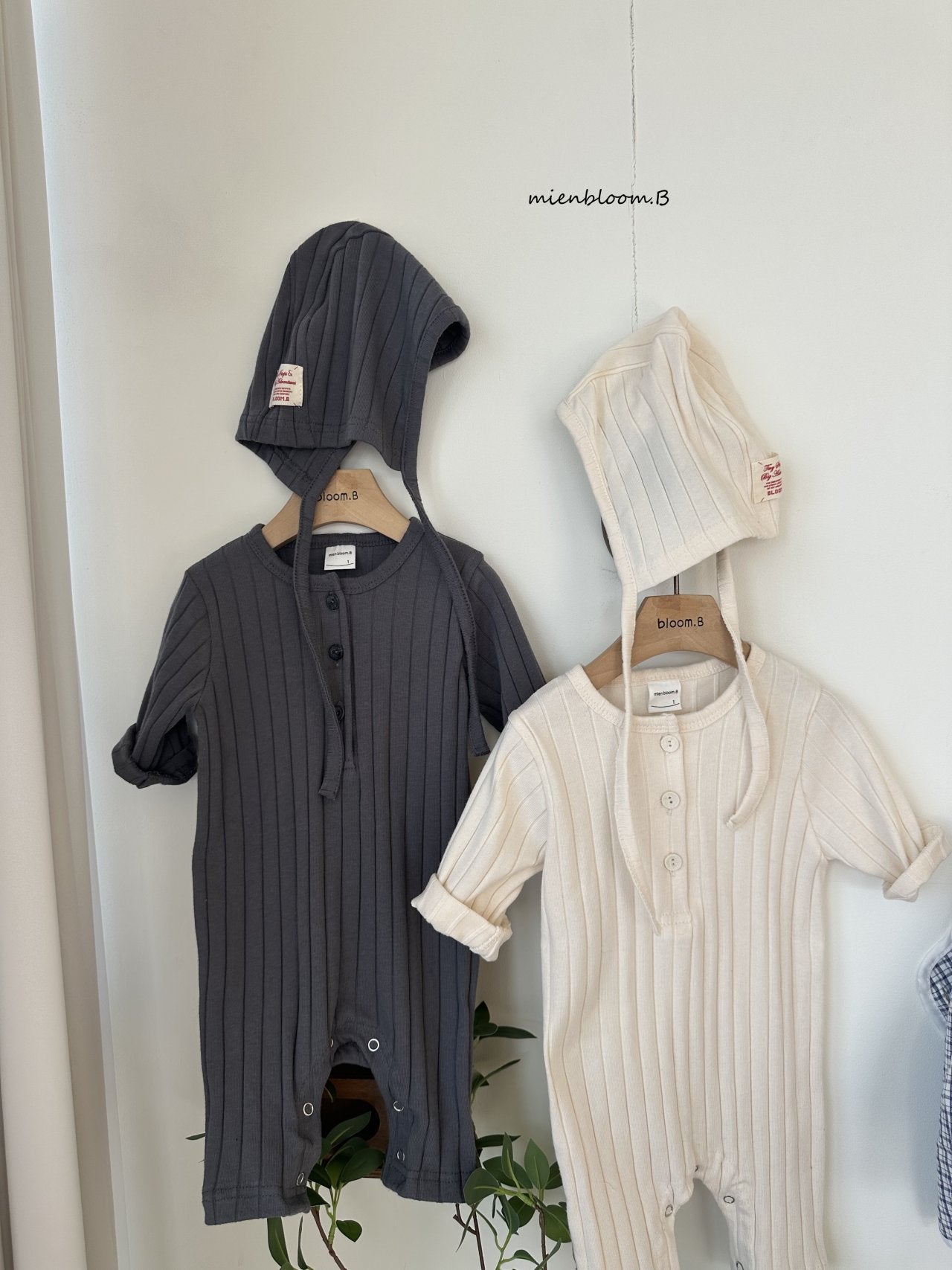 Chubby Rib Suit-  mienbloom.B- 52