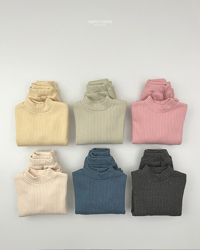 Knit Brushed Half Turtleneck Top-HAROHARO-001