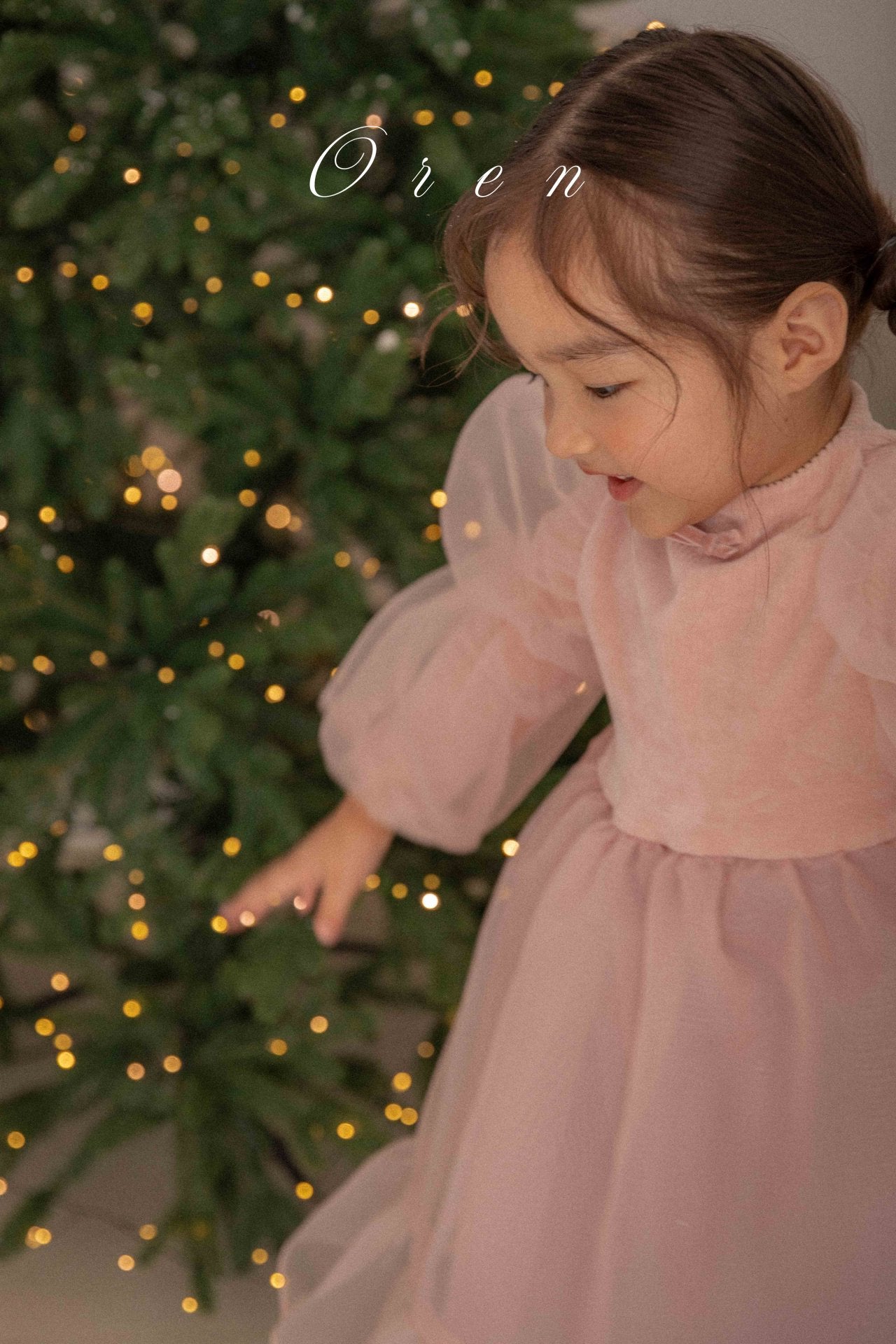 Bella Organza Dress OREN-19