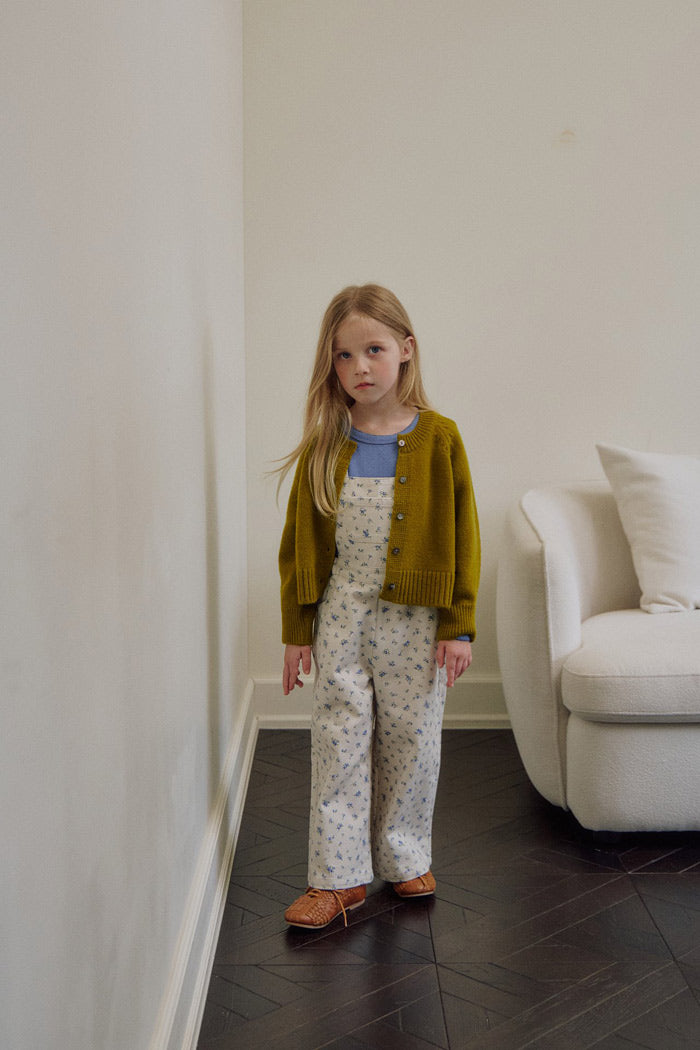 reina cash cardigan-soye-3